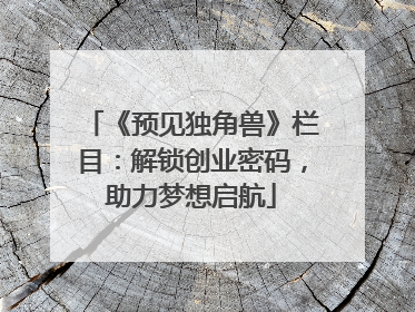 《预见独角兽》栏目：解锁创业密码，助力梦想启航