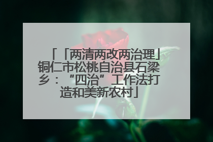 「两清两改两治理」铜仁市松桃自治县石梁乡：“四治”工作法打造和美新农村