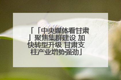 「中央媒体看甘肃」聚焦集群建设 加快转型升级 甘肃支柱产业增势强劲