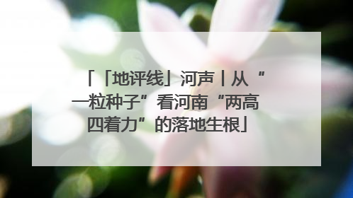 「地评线」河声丨从“一粒种子”看河南“两高四着力”的落地生根