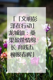 「文明彭泽在行动」龙城镇：桑果盈筐情绵长 育践五柳报春晖
