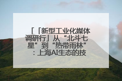 「新型工业化媒体调研行」从“北斗七星”到“热带雨林”：上海AI生态的技术商业共生密码