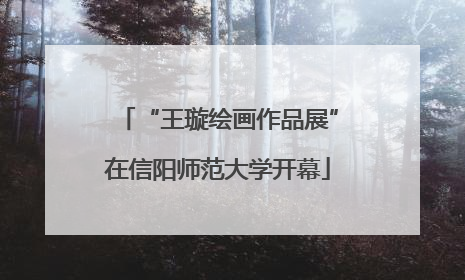 “王璇绘画作品展”在信阳师范大学开幕