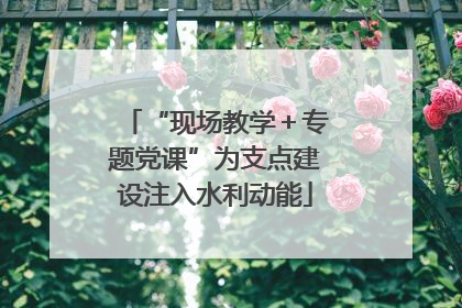 “现场教学＋专题党课”为支点建设注入水利动能
