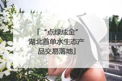 “点绿成金” 湖北首单水生态产品交易落地