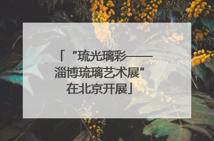 “琉光璃彩——淄博琉璃艺术展”在北京开展