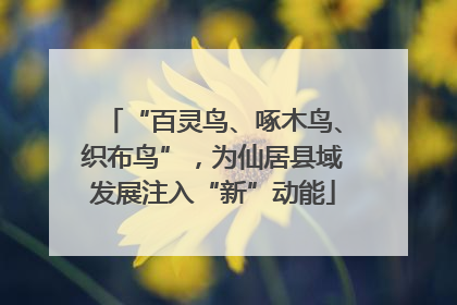 “百灵鸟、啄木鸟、织布鸟”，为仙居县域发展注入“新”动能