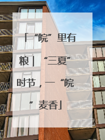 “皖”里有粮｜“三夏”时节，一“皖”麦香