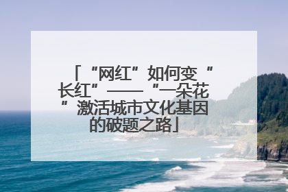 “网红”如何变“长红”——“一朵花”激活城市文化基因的破题之路