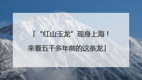 “红山玉龙”现身上海！来看五千多年前的这条龙