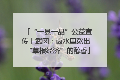 “一县一品”公益宣传丨武冈：卤水里熬出“草根经济”的醇香