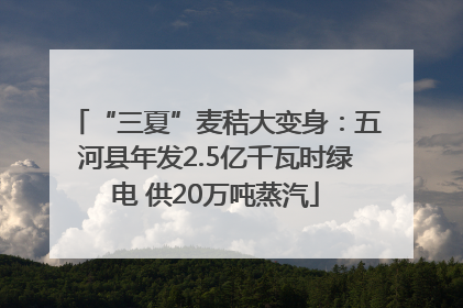 “三夏”麦秸大变身：五河县年发2.5亿千瓦时绿电 供20万吨蒸汽