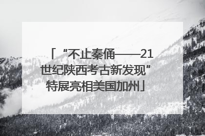 “不止秦俑——21世纪陕西考古新发现”特展亮相美国加州