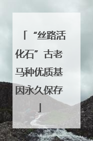 “丝路活化石”古老马种优质基因永久保存