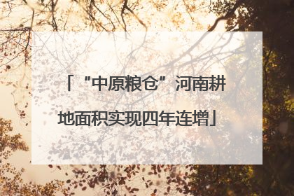 “中原粮仓”河南耕地面积实现四年连增
