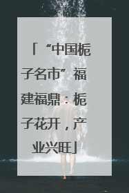 “中国栀子名市”福建福鼎：栀子花开，产业兴旺