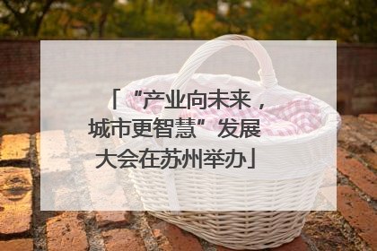 “产业向未来，城市更智慧”发展大会在苏州举办