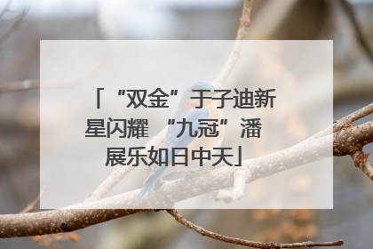 “双金”于子迪新星闪耀 “九冠”潘展乐如日中天