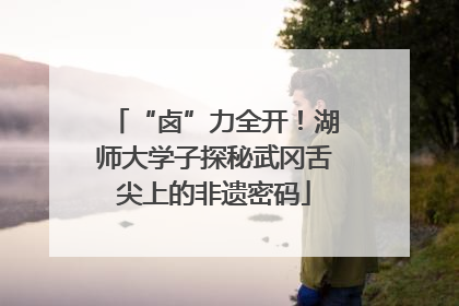 “卤”力全开！湖师大学子探秘武冈舌尖上的非遗密码