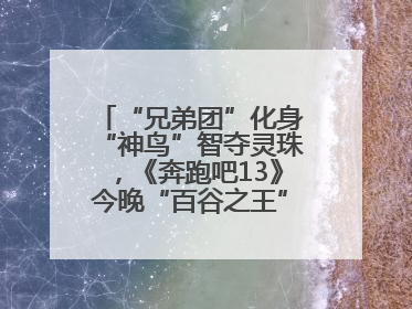 “兄弟团”化身“神鸟”智夺灵珠，《奔跑吧13》今晚“百谷之王”花落谁家？