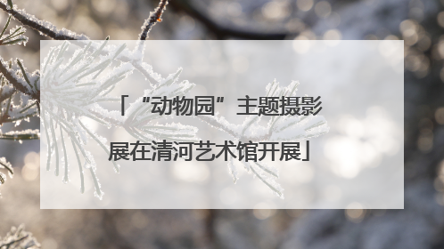 “动物园”主题摄影展在清河艺术馆开展