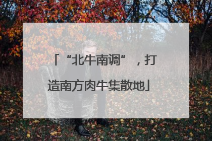 “北牛南调”，打造南方肉牛集散地