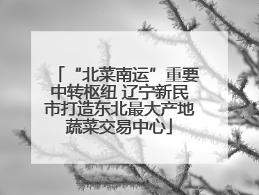 “北菜南运”重要中转枢纽 辽宁新民市打造东北最大产地蔬菜交易中心