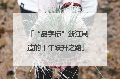 “品字标”浙江制造的十年跃升之路