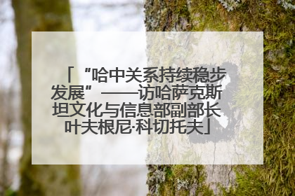 “哈中关系持续稳步发展”——访哈萨克斯坦文化与信息部副部长叶夫根尼·科切托夫