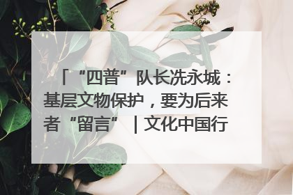 “四普”队长冼永城：基层文物保护，要为后来者“留言”｜文化中国行·我在广东找文物