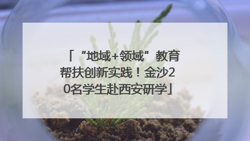“地域+领域”教育帮扶创新实践！金沙20名学生赴西安研学