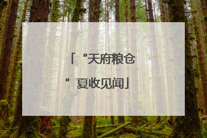 “天府粮仓”夏收见闻