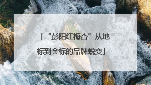“彭阳红梅杏”从地标到金标的品牌蜕变