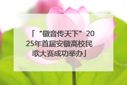 “徽音传天下”2025年首届安徽高校民歌大赛成功举办