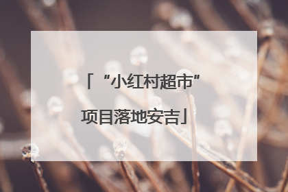 “小红村超市”项目落地安吉
