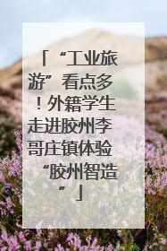 “工业旅游”看点多！外籍学生走进胶州李哥庄镇体验“胶州智造”