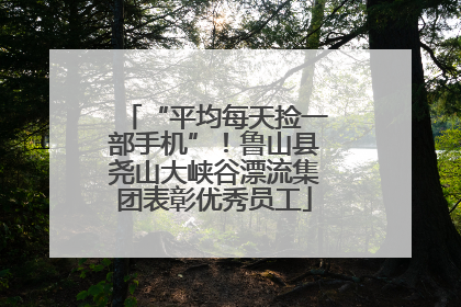 “平均每天捡一部手机”！鲁山县尧山大峡谷漂流集团表彰优秀员工