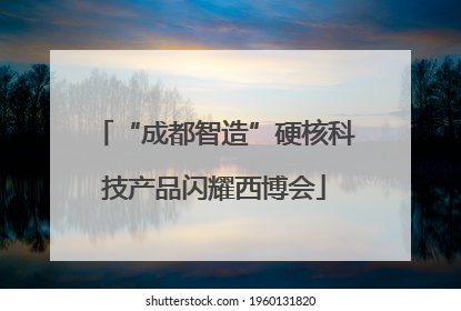 “成都智造”硬核科技产品闪耀西博会