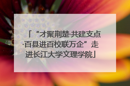 “才聚荆楚·共建支点·百县进百校联万企”走进长江大学文理学院