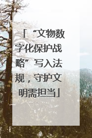 “文物数字化保护战略”写入法规，守护文明需担当