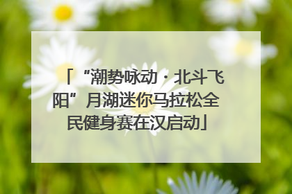 “潮势咏动・北斗飞阳”月湖迷你马拉松全民健身赛在汉启动