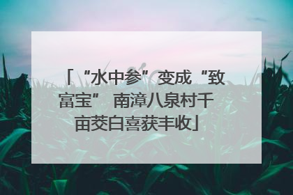“水中参”变成“致富宝” 南漳八泉村千亩茭白喜获丰收
