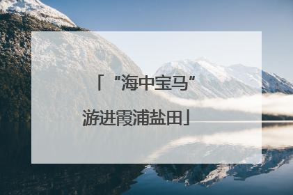 “海中宝马”游进霞浦盐田