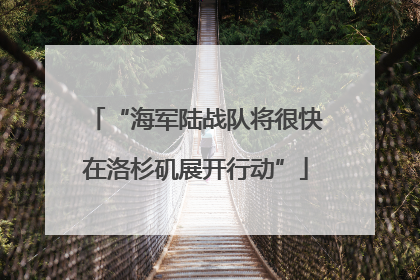 “海军陆战队将很快在洛杉矶展开行动”