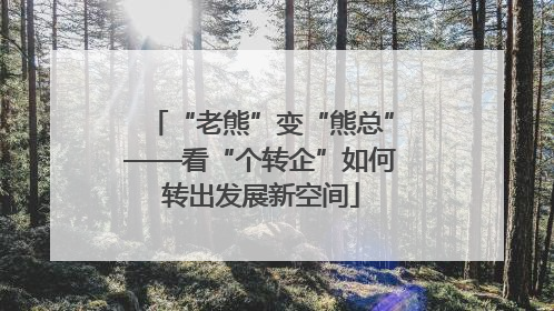 “老熊”变“熊总”——看“个转企”如何转出发展新空间
