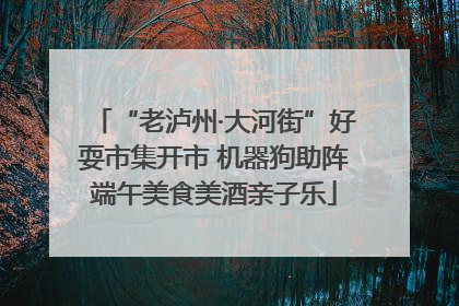 “老泸州·大河街”好耍市集开市 机器狗助阵端午美食美酒亲子乐