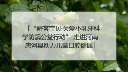 “舒客宝贝·关爱小乳牙科学防龋公益行动” 走进河南唐河县助力儿童口腔健康