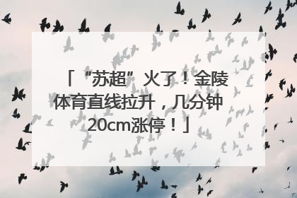 “苏超”火了！金陵体育直线拉升，几分钟20cm涨停！
