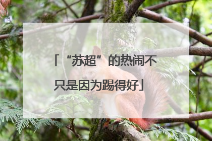“苏超”的热闹不只是因为踢得好