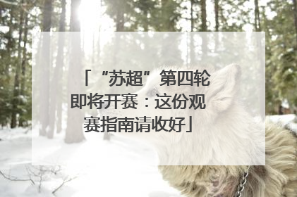 “苏超”第四轮即将开赛：这份观赛指南请收好